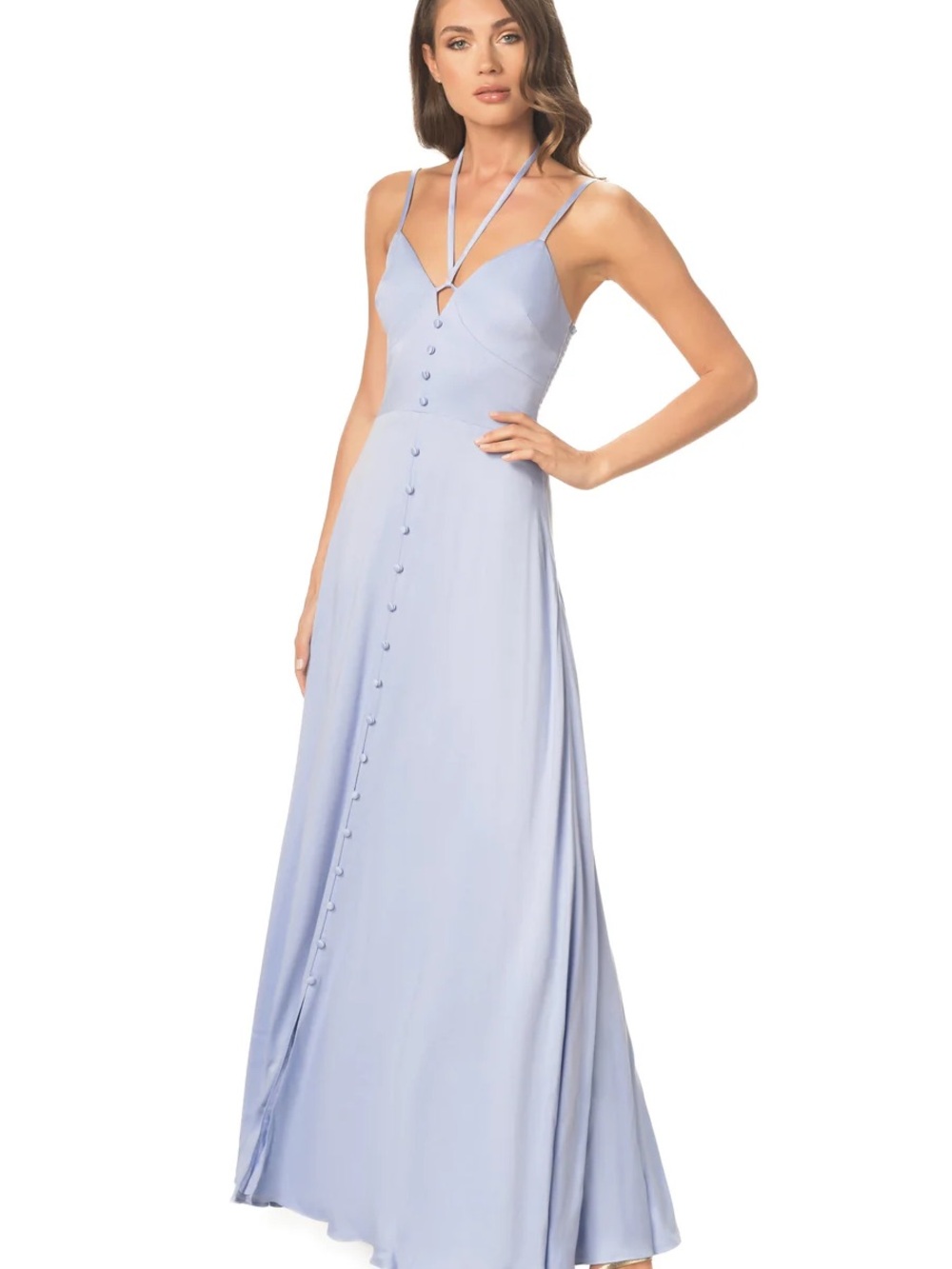 Dress the Population Mia Dress